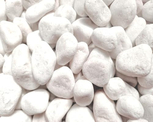 Piedras Canto Rodado Blanco 20-40 mm. Decoración Jardín, Macetas y Acuarios | Piedras Naturales para Exterior e Interior (3 Kg)