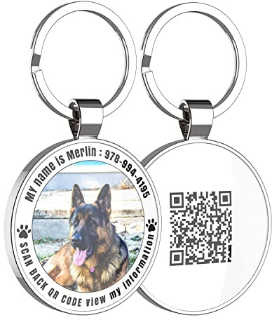 DISONTAG Medaglietta Cane Personalizzata on Codice QR-Foto&Nome-Mai sbiadire & Anelli Rinforzati - Servizio Gratuito Online Pet Page (32 mm)