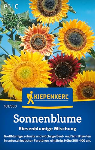 Kiepenkerl Sonnenblumensamen Riesenblumige Mischung 1017500 - Prächtige Farben für kreative Gartengestaltung, ideal als Sichtschutz, Blumensamen für 30 Pflanzen