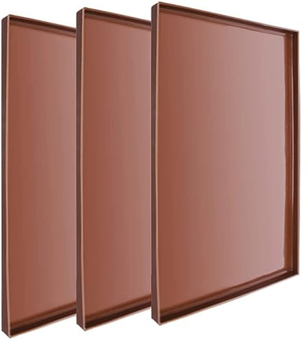 Didiseaon Tappetini in Silicone per Essiccatori 3 Pezzi Bordo Rialzato, Riutilizzabili e Resistenti al Calore per Forno e Disidratatore, per Frutta, Biscotti e Carne Secca in Cucina