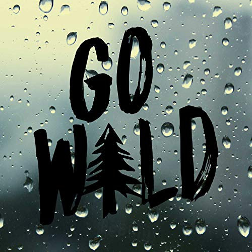 SUPERSTICKI Go Wild ca 20cm Auto Aufkleber Tuning Spruch Fun Lustig Aufkleber Decal Sticker aus Hochleistungsfolie