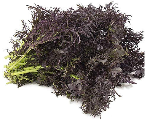 PREMIER SEEDS DIRECT MUSTARD - Red Frills - 3 gm