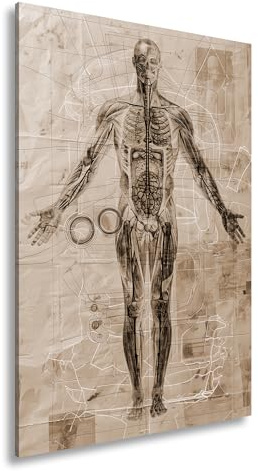 Leinwandbild Anatomie auf Pergament – Kunst trifft Wissenschaft. Format: 120x80cm Effekt: Sepia XXL Kunstdruck Bild auf Keilrahmen/Wandbild/Wohnzimmer Dekoration