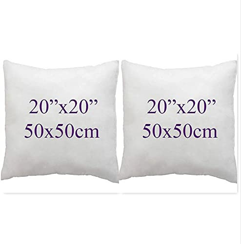 ARLINENS Pack of 2 Duck Feather & Down Cushion Pad Inner Insert -100% Natural Cotton Anti Dust Mite and Down Proof Cushion Pads Cover/Non Allergenic (20x20)
