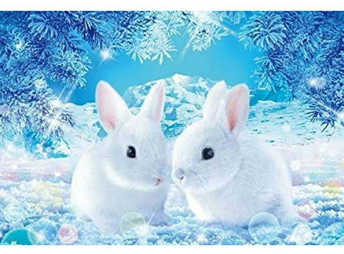 Diamond Painting Erwachsene, DIY 5D Diamant Painting Hase, 30x40 cm | Hochauflösende Bilderleinwand, Ausreichend Diamond, DIY Rund Full Drill Craft, für Wall Room Home Dekoration