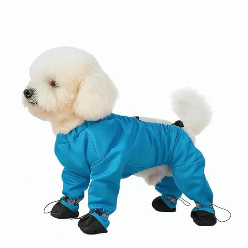 PawProtect wasserdichte Hundehose mit Beinen, Gelb, Reflektierend, Verstellbare Größen XS-2XL, Rutschfester Pfotenschutz für Kleine und Mittelgroße Hunde, Outdoor-Aktivitäten (Blau, XS)