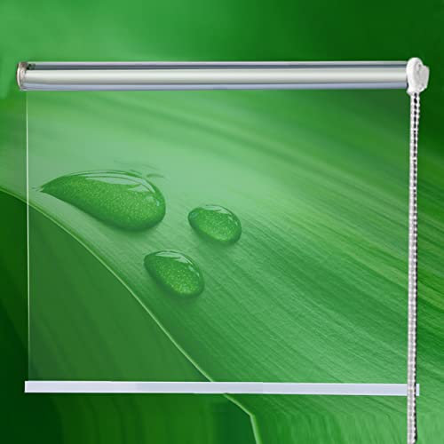 Zlovne Seitenrollo Terrasse Pergola Rollos,Durchsichtige Gartenrollos Sonnenschutz Rollläden Wasserdichtes Transparentes Rollo mit Zubehör,Seitenzugrollo für Fenster,Tür,Büro (W130xH180cm/W51xH71in)