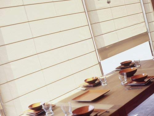 Estor Plegable TRASLÚCIDO LONETA Gobi