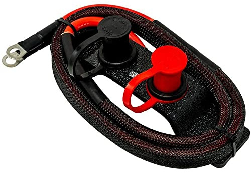 Riloer Kfz-Überbrückungsklemmen, Kits zum Versetzen von Batterieklemmen, Fernladestationen für Batterien, Anwendbar für UTV ATV, 0,7 cm