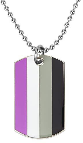 Sinwinkori Progress Dog Tag Pendant Necklace Agender Rainbow Asexual Transgender MIL Bisexual Pansexual Philadelphia Nonbinary Sun Set Lesbian Demiboy Dog Tag Necklace