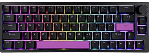 BOYI 66Pro Rapid Trigger Magnetic Switch 65% Mechanical Keyboard,Hall Effect Gasket-Mounted RGB HotSwap Hyper-Fast Adjustable Actuation Wired Compact Gaming Keyboard with Knob (Black)