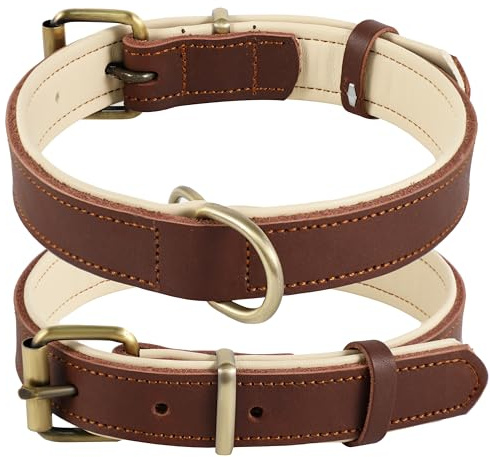 Hundhalsband i läder, hundhalsband i olika storlekar och färger, äkta, robust, bekvämt, mjukt innerfoder med kontrasterande färgdesign, från 25 till 57 cm