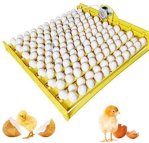 Eierbrüter automatisch 154 Kunststoff Ei Huhn Schlüpfmaschine Brutmaschine Brutmaschine mit 220 V Auto Turn Motor
