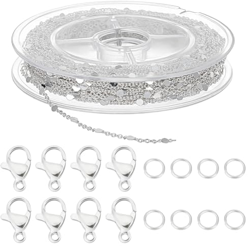 Beebeecraft 1 Scatola 10M Catene A Maglie Intrecciate in Acciaio Inossidabile Catene Portacavi A Maglie Piatte Tonde con 20 Pezzi Chiusure Ad Artiglio di Aragosta 50 Pezzi Anelli di Salto per Kit di