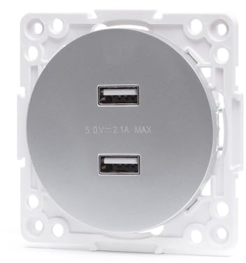 Adattatore a 2 prese USB in elegante colore argento. Compatibile con sistemi tedeschi e francesi, perfetta per caricare i tuoi dispositivi con stile.