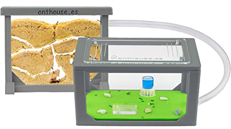 Anthouse - Natürliche Ameisenfarm aus Sand | 3D Grau Mini Set (Sandwich + Futterbox) | Inklusive Ameisenkolonie