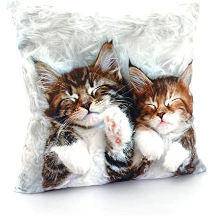 heimtexland ® Dekokissen Bezug Winter Tiere Foto Digitaldruck Kuschelige Velour Kissenhülle 40x40 Deko Kissen Typ831 Katzen