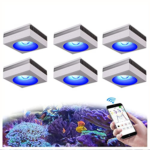 PopBloom RL90 WiFi Reef Lampe Meerwasser Led Aquarium Beleuchtung, App Kontrolle Salzwasser Riff Aquarium Beleuchtung für Korallenriff SPS/LPS Marine Fisch Tank (Für 260-300cm Meerwasserbecken)