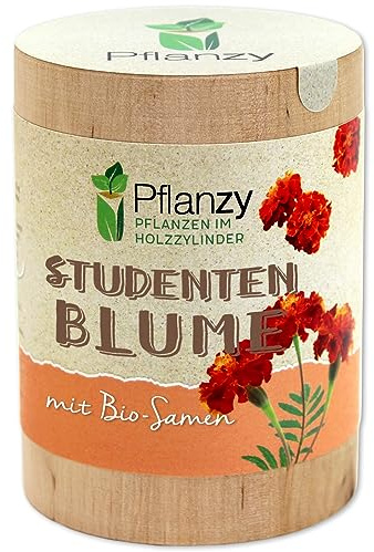 Feel Green Pflanzy Studentenblume, Bio Samen, Nachhaltige Geschenkidee (100% Eco Friendly), Grow Your Own/Anzuchtset, Pflanzen im Holzzylinder, Made in Austria