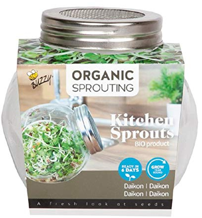 BIO Sprossen Anzuchtset - 1 Sprossenglas im Set mit Probepackung Spossensamen - 7,5g Daikon - Keimglas für Sprossen - Keimschalen für Sprossen - Sprouting
