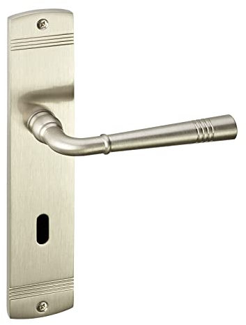 1 Juego de manilla FREJA Acero inoxidable (BB) montaje de la puerta en la placa larga Manija de la puerta de la vendimia con el material de fijación por Sotech