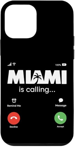 Hülle für iPhone 12 mini USA American Patriot Damen Herren Kinder Jungen Mädchen Miami