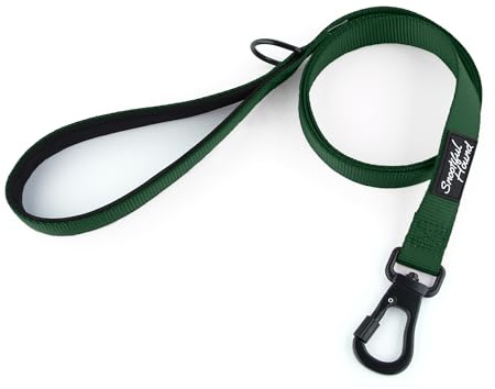 Snootiful Hound Secure Locking Dog Lead with Padded Handle - Carabiner Dog Leash - Anti Theft (Green, 120cm)