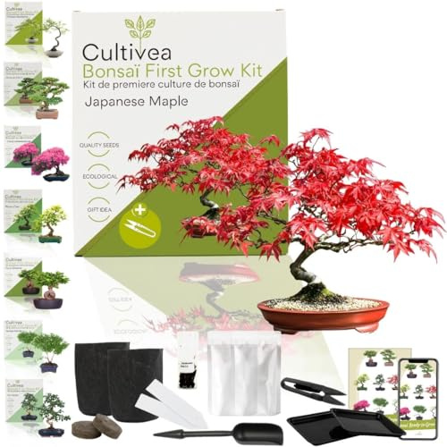CULTIVEA Bonsai-Set First Bonsai Pflanzfertig – Gärtnern & Dekorieren – Natürliche Bonsai-Anzucht für Innen & Außen – Verschiedene Sorten, Samen, Erde & Zubehör (Japanese Mapple)