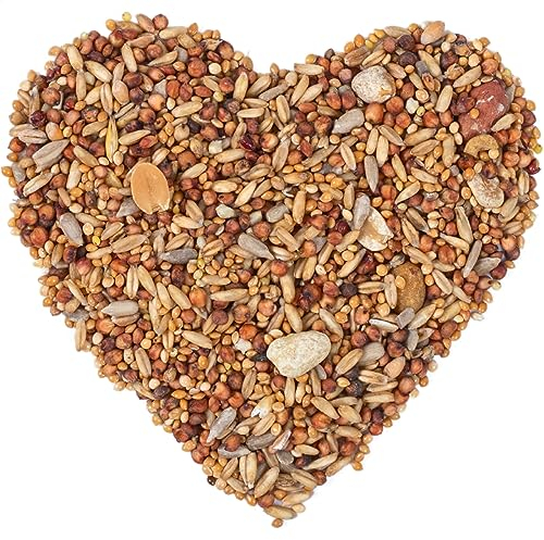 Lyra Pet® | 10 kg Streufutter schalenfrei | HK Polen | Schalenfreies Wildvogelfutter | Energiereich & Ohne Schalen | Ganzjährig für Wildvögel | Kraftspendendes Naturprodukt auch für Kleine Vögel