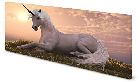 Magnettafel Pinnwand Bild Einhorn Sonne XXL gekantet Größe 120 x 60 cm