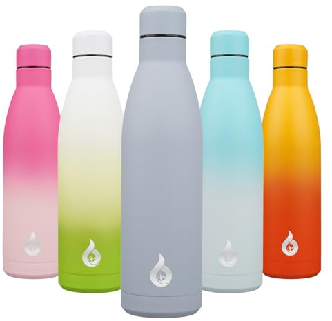 BJPKPK Acier Inoxydable Bouteille 750 ml Isotherme avec Poignée et Paille Couvercle-Sans BPA-Anti-fuite avec Poignée Portable-étanche Gourde Isotherme, Gris Brume