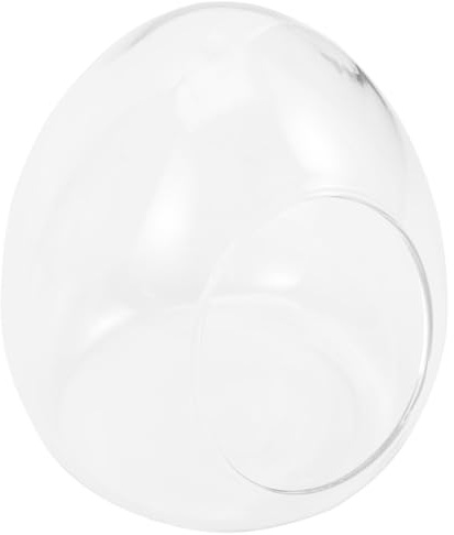 Terrarium en Verre Œuf Transparent pour Plantes, Déco de Table | Bouteille Décorative Diy, Usage Intérieur Maison et Chambre, Style Créatif