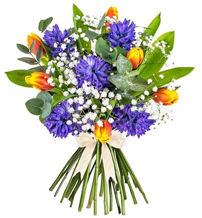 Hyacinth & Tulips - Fresh Flowers - Birthday, Anniversary, Get Well, Thank You, Occasion Flower - Cut Floral Arrangement for Gifts, Weddings, Sympathy, Celebrations, Mothers day