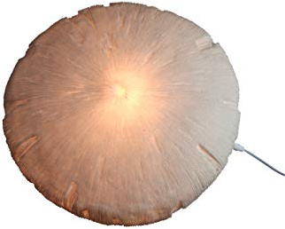 AM-Design Decoración, Arenisca, Blanco, 63x63x16 cm