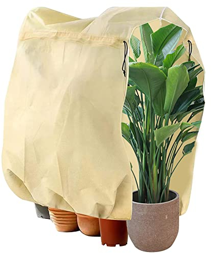 DAWRIS Winterschutz für Pflanzen, Frostschutz Pflanzenabdeckungen als Winterschutz, Winter Pflanzenschutz Schutzhülle, Pflanzenvlies Winterschutzvlies für Baum Palmen Balkonpflanzen, 120x180 cm, Beige
