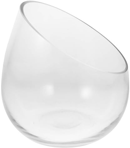 BATHVEVE Hydroponische Glasvase für Sukkulenten und Frische Blumen Zarte Blumenvasen aus Glas Nicht Leicht Zerbrechlich Dekoration für Zuhause und Jeden Raum