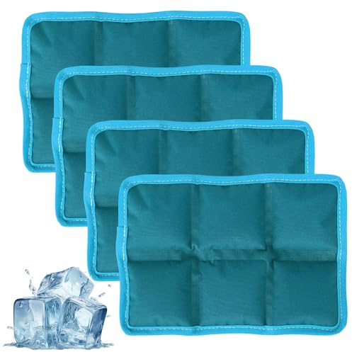Penitue 4pcs Ice Packs for Lunch Boxes, Reusable Freezer Packs Lightweight Blocks Freezer Small Cold Bags Multifunctional Cooler Accessories for Picnic School Camping Food Freshness (Blue)