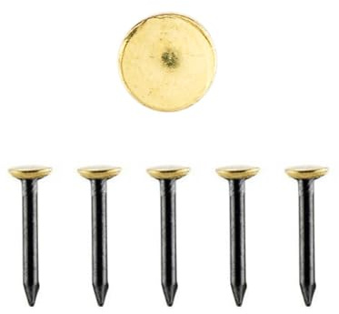 30 Bildernägel | Länge wählbar | 20 mm I 25 mm I 30 mm I 40 mm I 50 mm | Bilder Aufhängen ohne Bohren | für Betonwände, Ziegelstein, Putz & Holz (20 mm)