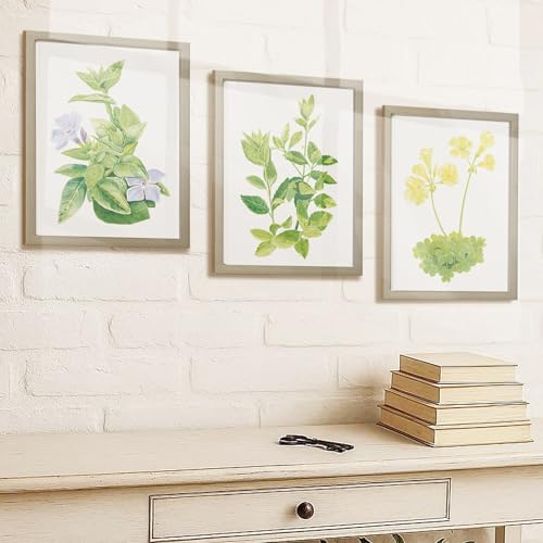 Pack de 3 Láminas Botánicas A4 – Set Posters de Ilustraciones Florales en Papel Texturizado – Colección Decoración Natural de plantas y flores para Hogar y Oficina- Envuelto para regalo - Sin marco –