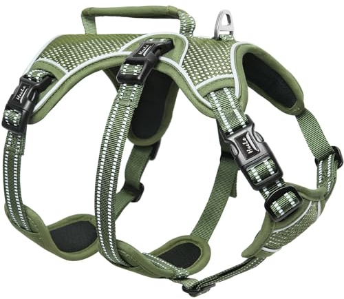 HEELE Hundegeschirr, Ausbruchsicher, Schnalle im Halsbereich, Reflektierend, Brustgeschirr mit Robuster Griff, Panikgeschirr Hund, Hundegeschirr Stabilen Eindruck, Passt wie Angegossen, Grün, M