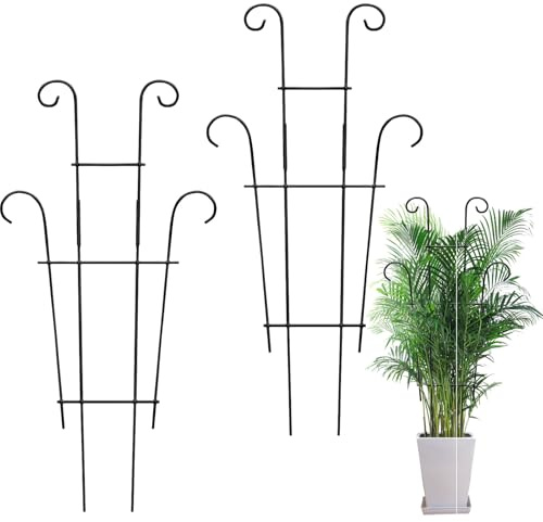 Rankgitter Groß, 2 Stück Rankhilfe Zimmerpflanzen Rankhilfe Metall Pflanzen Rankhilfe Pflanzenstütze Rankgitter Rankhilfe Für Kletterpflanzen Gartenspalier für Tomaten Blumen Rosen (60 * 30)