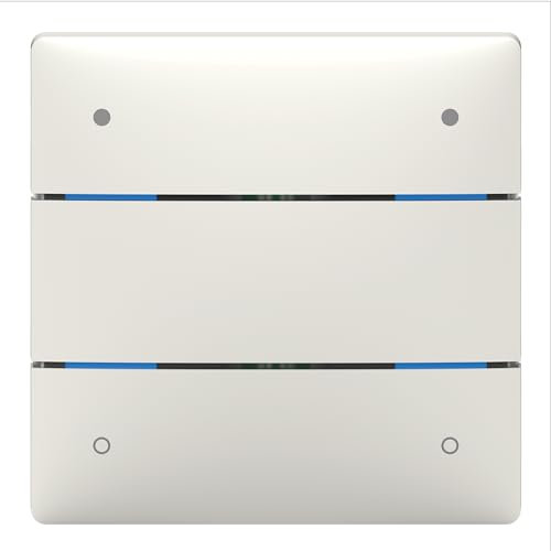Theben 4802414 I LUXORliving iON4 SR I Tastsensor mit 4 Tasten in Silber I Für KNX Smart-Home System LUXORliving I integrierter Temperatursensor I Taster I Schalten/Dimmen/Jalousie