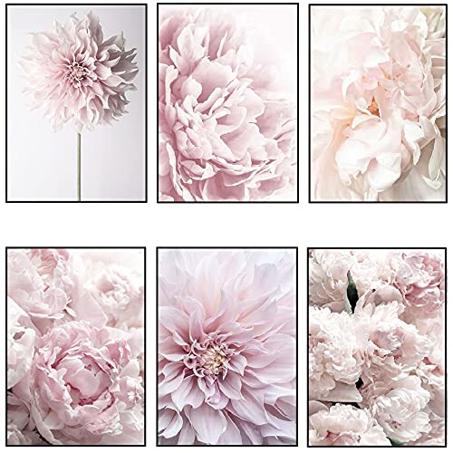 OYFFL 6 Arte Moderno Acuarela Flores Pintura al óleo sobre Lienzo Carteles e Impresiones peonía Rosa Cuadro de Arte de Pared para decoración de Sala de Estar (40 * 60cm)