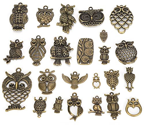 QANYEGN 24pcs Eule Charms, Bronze Owl Schmuck, Niedliche Tier Charms, HEIMWERKEN Schmuck Charm Anhänger, Für Halskette, Armband, Schmuckherstellung