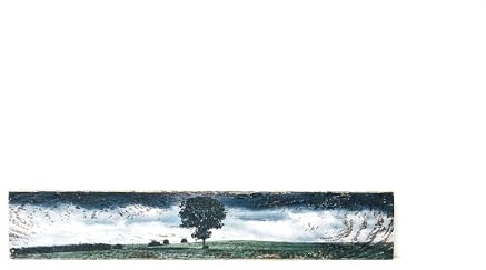 Handbedrucktes Weinkistenbrett – Naturmotiv Einzelner Baum | Upcycling Holzbild | Vintage Wanddeko | 33×6×1 cm