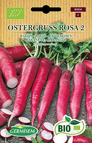 Germisem Bio Graines Radis OSTERGRUSS ROSA 2 ECBIO9036 Multicolore