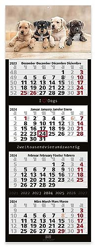 Geiger-Office 4-Monats-Wandkalender 2026 Hunde Großformat 33 x 90 cm mit attraktivem Hunde -Bildmotiv