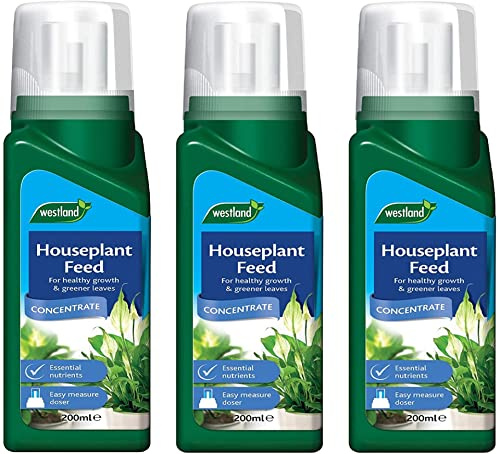 Westland Houseplant Feed Concentrate (200ml) X 3