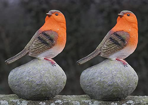 Garden Mile Rotkehlchen auf Steinen, Kunstharz, Rotkehlchen, Vogel-Set, sehr detaillierte Gartendekoration, Dekoration für drinnen und draußen (2 Rotkehlchen)