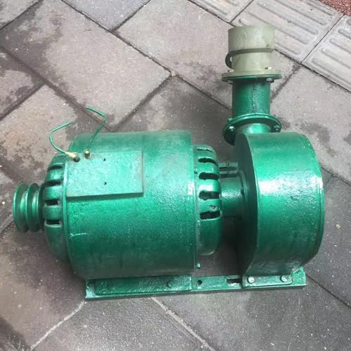 ZHOZHUT Turbina Micro Generador Hidroeléctrico 3000W Generador Hidroeléctrico Horizontal 3KW 220V Generadores Hidroeléctricos De Impacto Monofásicos De Doble Uso, para Exteriores, Ríos,3000w,220V